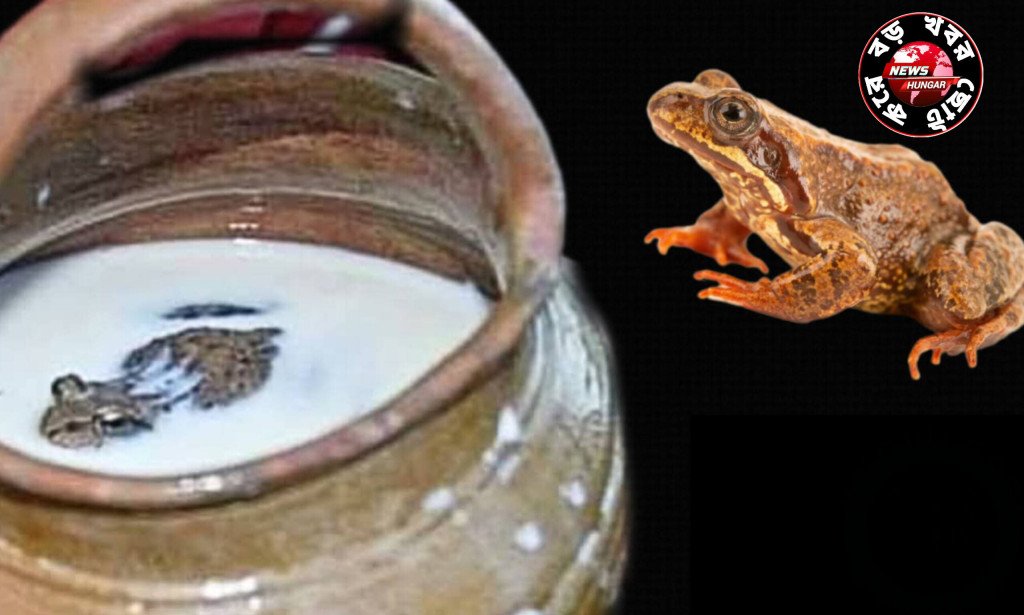 প্রাচীন কালের দুধ সংরক্ষণের অদ্ভুত এক পদ্ধতি।