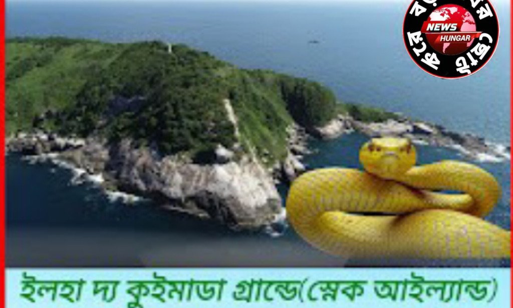 স্নেক আইল্যান্ড!