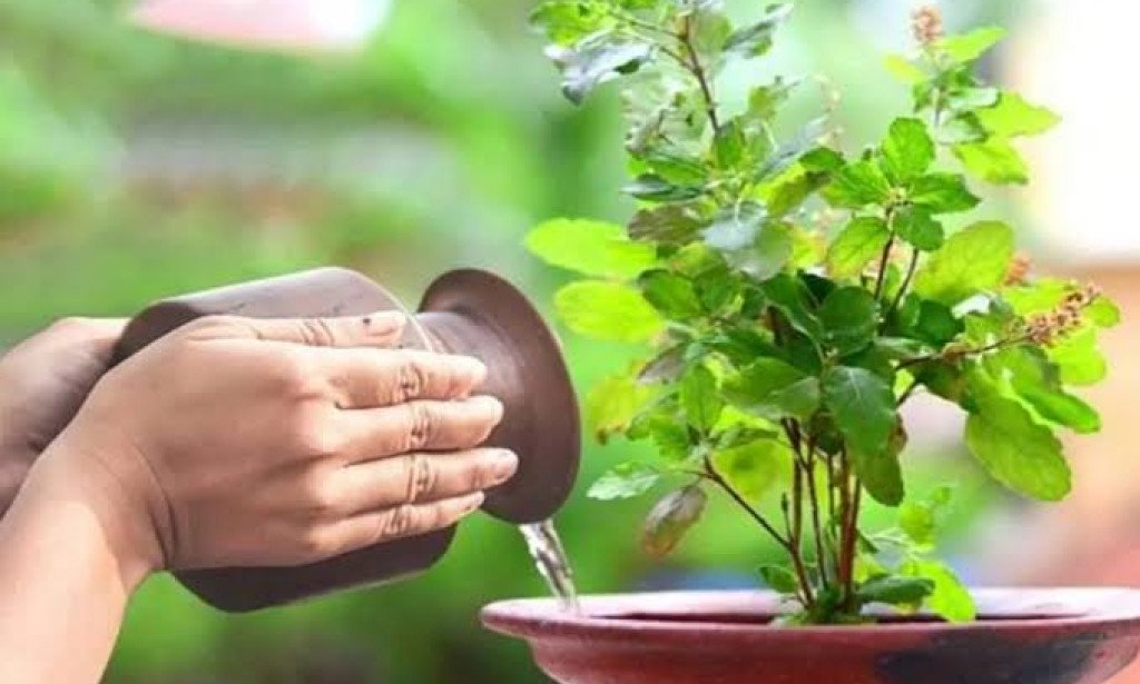 Tulshi gach er upokarita